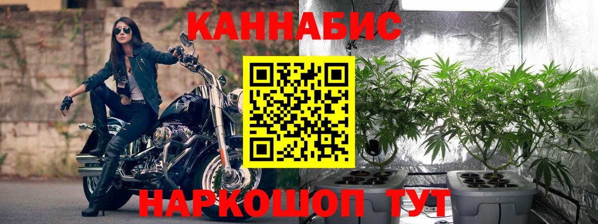 Ялта  Каннабис марихуана  Вход с VPN  Канабис Bruce Banner  Марихуана конопля  Конопля конопля 